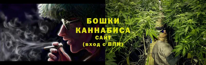 хочу   Губкин  Бошки марихуана THC 21% 